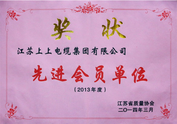 和记娱乐集团荣获江苏省质量协会2013年度“先进会员单位”称呼