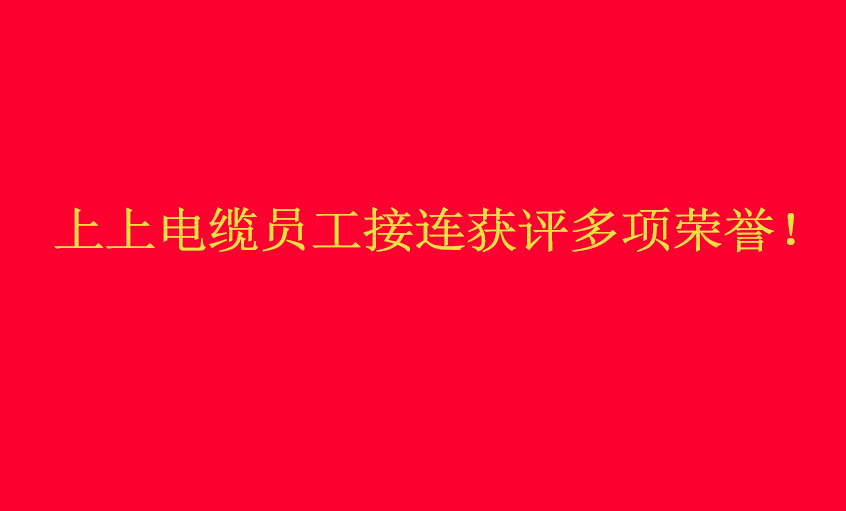 和记娱乐电缆员工接连获评多项声誉